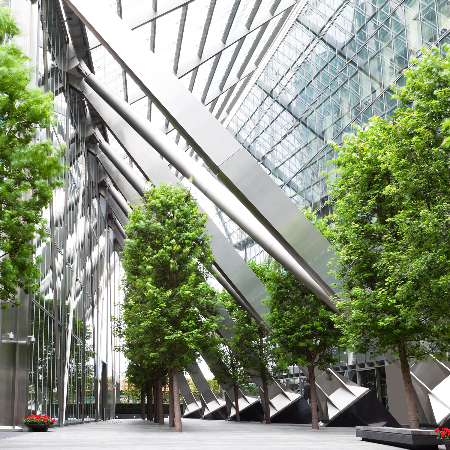 Trees-and-Office-Buildings-166006404_5616x3744